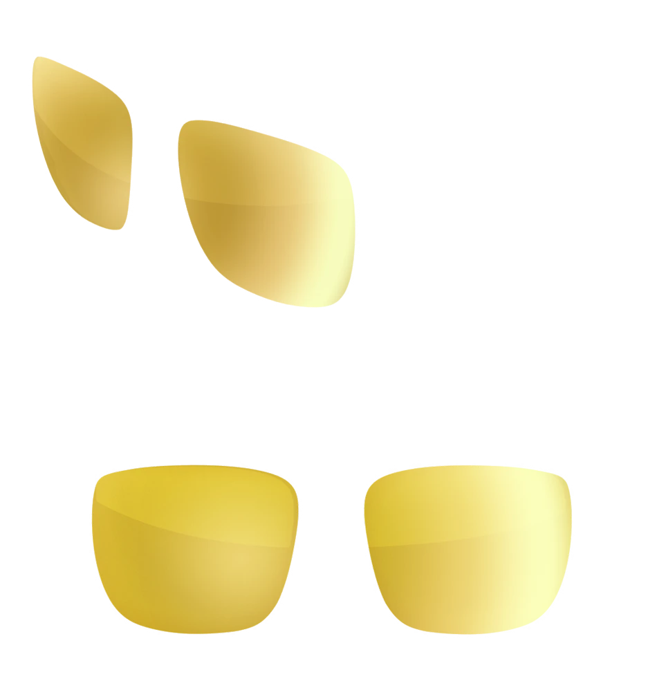 Custom Regulator Custom Regulator -Heat Wave Visual lens gold rush